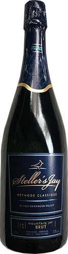 Stellers Jay Brut