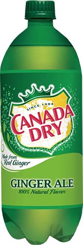 Can Dry Ginger Ale 1l