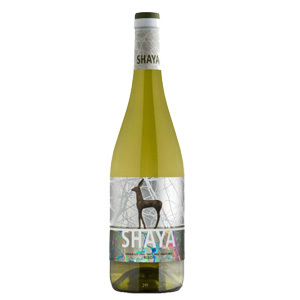 Shaya Rueda Verdejo