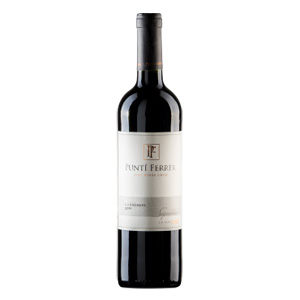 Punti Ferrer Carmenere