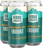 Fernie Enduro Sc