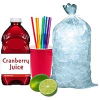 16oz Red Party Cups 50 Pack