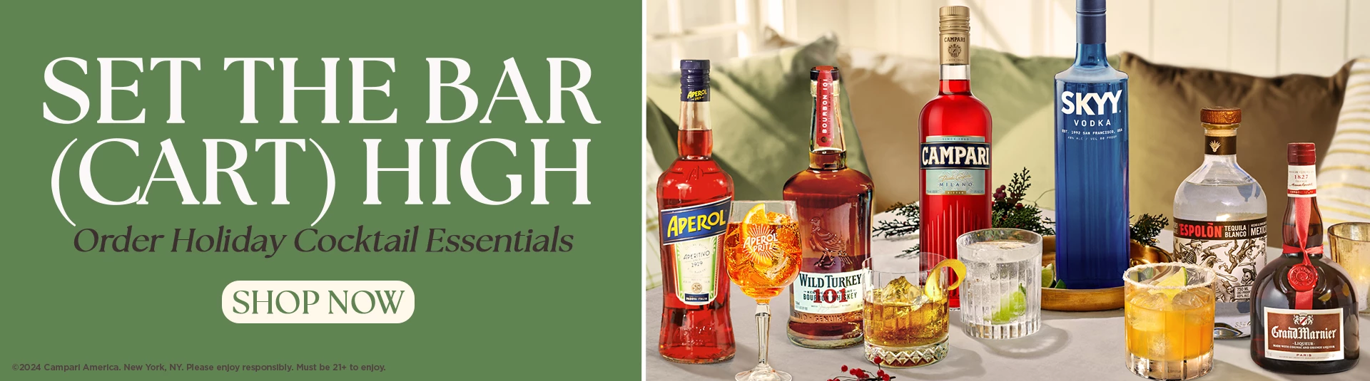 Campari_WebBanner_November2024