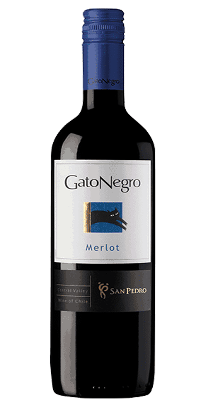 Buy San Pedro Gato Negro Merlot Online Red Delivery Service Main Wine Delivered By Bottlerover Com