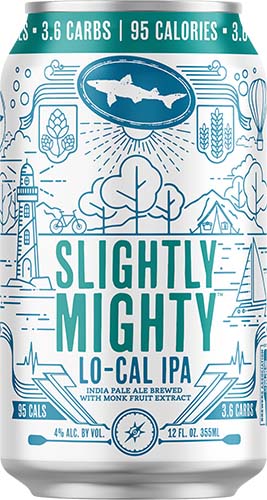 Dogfish Head Slightly Mighty 12pk Cans