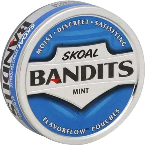 skoal wintergreen pouches