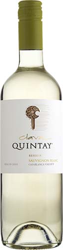 Quintay  Q Sauvignon Blanc