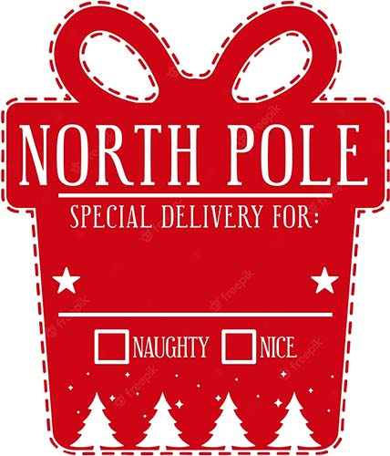 North Pole Delivery Single Single Bottle Wine Bag True