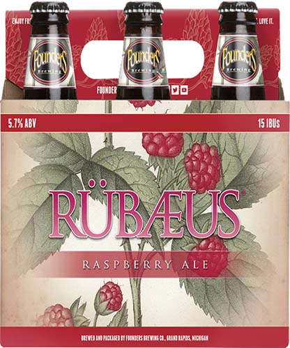 Founders Rubaeus Raspberry Ale  6pk Bottle