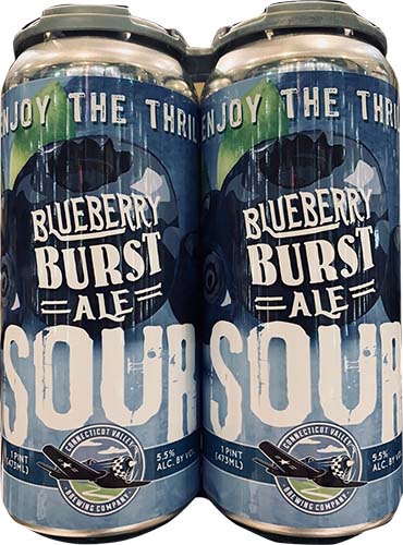 Connecticut Valley Blueberry Sour Burst Ale 4pk Can