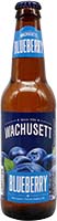 Wachussetts Blueberry Ale
