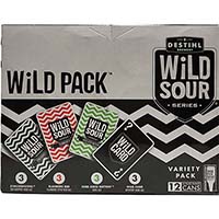 Destihl Wild Sour Variety 12 Pack Can