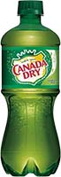 Canada Dry Ginger Ale 16.9oz