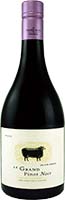 Black Sheep Pinot Noir Is Out Of Stock