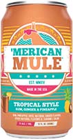 Merican Mule Tropical 4pk