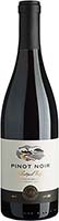 90+ Cellars Lot 164 Sebastopol Ridge Pinot Noir