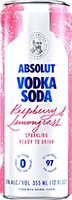 Absolut Raspberry & Lemongrass Vodka Soda