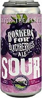Bonkers For Blackberries Ale Sour 4pk Can