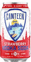 Canteen Strawberry