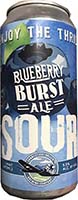 Ct Valley Blueberry Burst Sour Ale 4pk