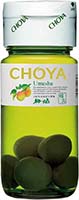 Choya Umeshu With Fruit 500ml