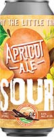 Connecticut Valley Apricot Sour  4pk Can