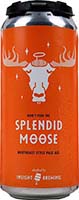 Insight Splendid Moose