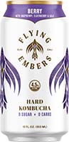 Flying Embers Variety 12/24 Pk Can