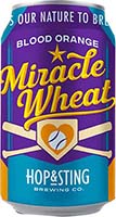 Hop & Sting Brewing Co Miracle Blood-orange Wheat American Wheat Beer