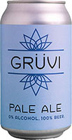 Gruvi Na Pale Ale Cans Is Out Of Stock