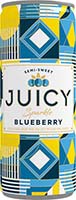 Juicy Sparkle Blueberry Sparkling White Wine