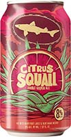 Just In:dogfish Citrus Squall 6 Pack 12 Oz Cans