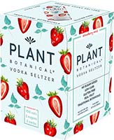 Plant Botanical Rtd Strawberry Mint 4pk Is Out Of Stock