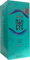 Fish Eye All Types