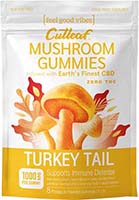 Cutleaf Mushroom Turkey Tail