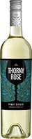 Thorny Rose Pinot Grigio Is Out Of Stock