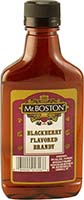 Mr Boston Blackberry Brandy Liqueur Is Out Of Stock