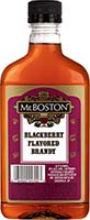 Mr Boston Blackberry 375ml (22b)