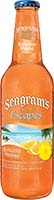 Seagram'sescapes Orange Pin Bahama Mam