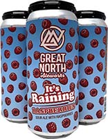 Great North Aleworks Raspberries Sour Is Out Of Stock