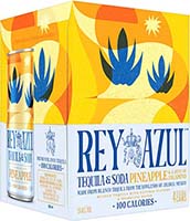 Rey Azul Tequila And Soda Pineapple