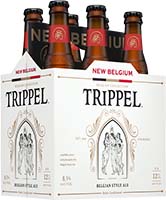 New Belgium Trippel  6pk Bottle