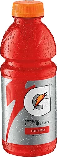 Gatorade Fruit Punch