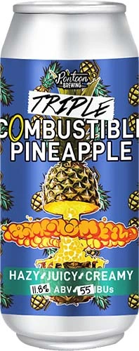 Pontoon Combustible Pineapple 16oz 4pk Cn