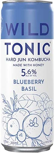 Wild Tonic Kombucha Blueberry 12oz Can