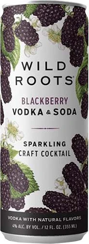 Wild Roots Vodka Soda Blackberry 4pk