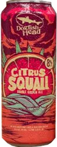 Dogfish Head Citrus Squall 6pk Can