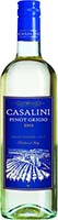 Casalini Pinot Grigio