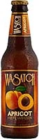 Wasatch Apricot Hefe 4/6pk Can