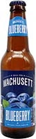 Wachusett Blueberry 6pk